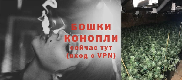 хмурый Мегион