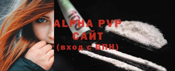 хмурый Мегион