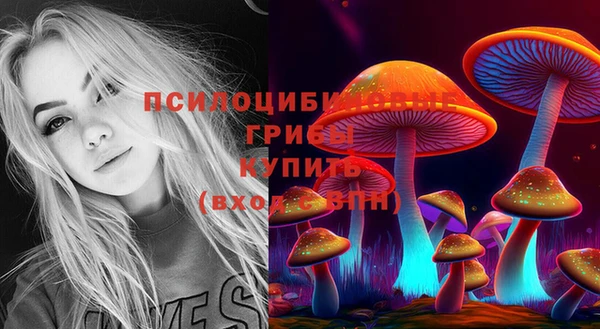 круглые Медвежьегорск