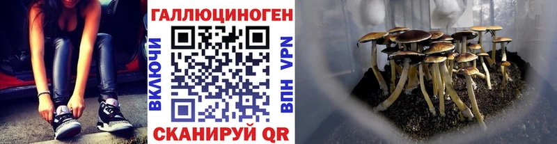 Галлюциногенные грибы GOLDEN TEACHER  Купить где  Алексин 